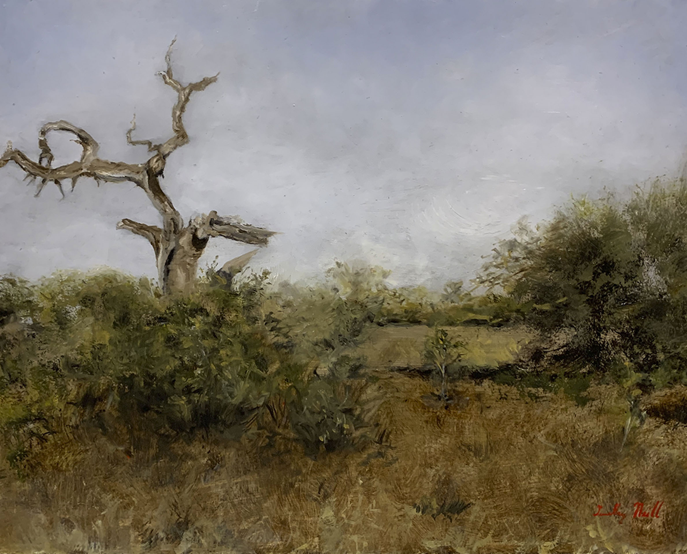 Landscape with Tree